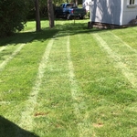 Lawn services