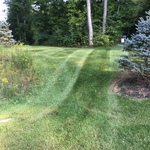 Lawn services