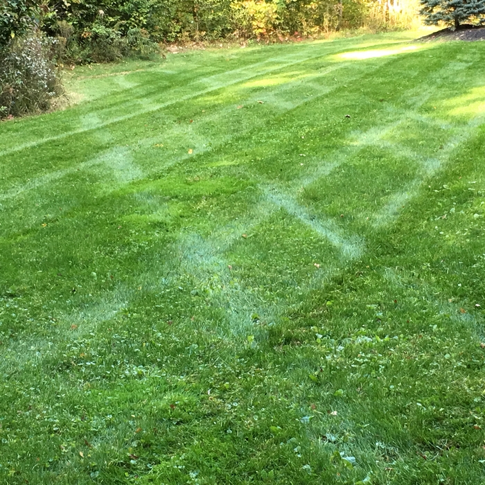Lawn services