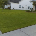 My work.