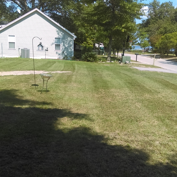 freshly mowed green lawn
