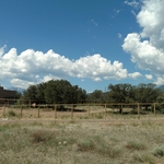 Post and rail