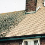 removal of mold growing on roof top