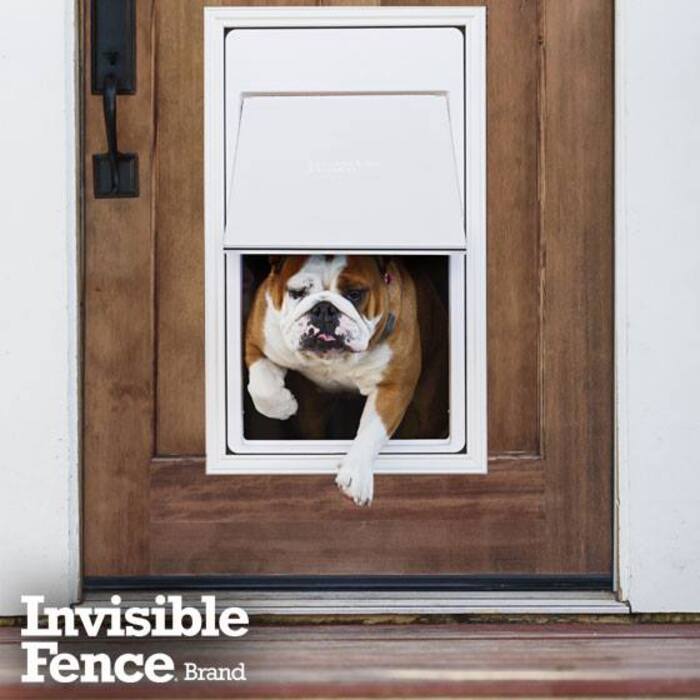 We offer pet doors too!