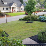 Home owners view