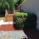 hedge trimmng