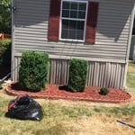 hedge trimming