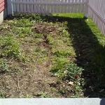 Patio Install