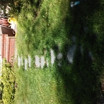 Existing Walkway