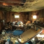 Mold Remediation