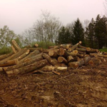 Butler Property Services