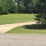 Lawn Care