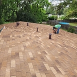 Shingle Roof