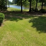Yard Maintenance