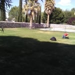 lawn service