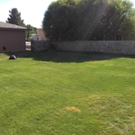 lawn service
