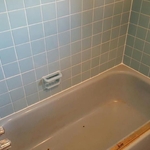 Shower Makeover