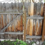Neglected