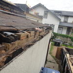 Rotted Wood