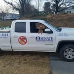 Senate loves pets!