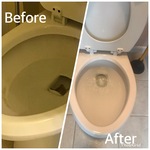 Before/After toliet Cleaning Service