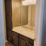 Suburban Modern Bath