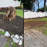 Stump Removal