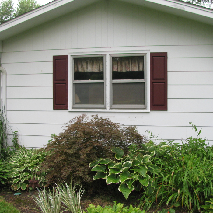 Before siding removal