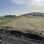 Mowing in progress