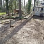 leaf removal