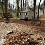 leaf removal