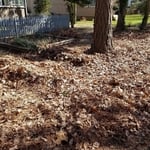 leaf removal