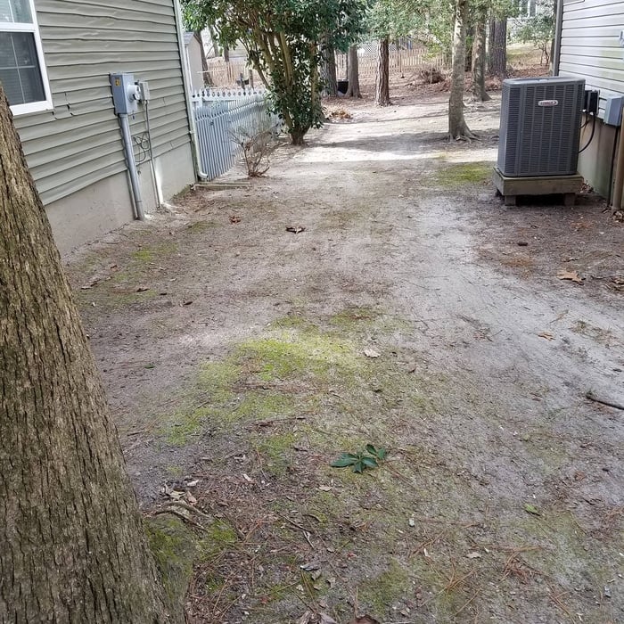leaf removal