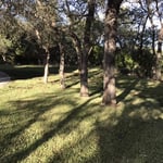 Front Yard Final
