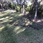 Front Yard Final