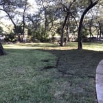 Front Yard Final