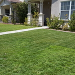 bi-weekly lawn maintenance