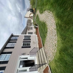 New Walkway and steps
