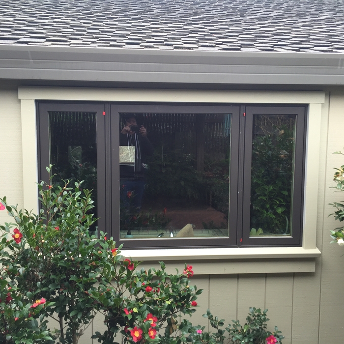 Marvin Window + Exterior Trim w/ Water Table