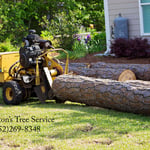 Tree Work