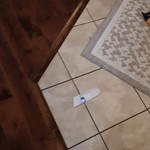 Removal on tile inlay