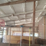 Closed Cell Insulation Installed On Roof Deck