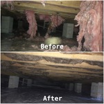 Another crawlspace rehab