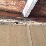 termite damage