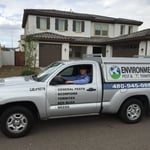 Pest & Termite Truck