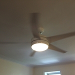 Modern 5 Paddle Fan