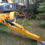 Tree Work