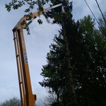 Tree Work