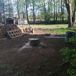 Tree Work
