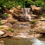 Flower Show 2014